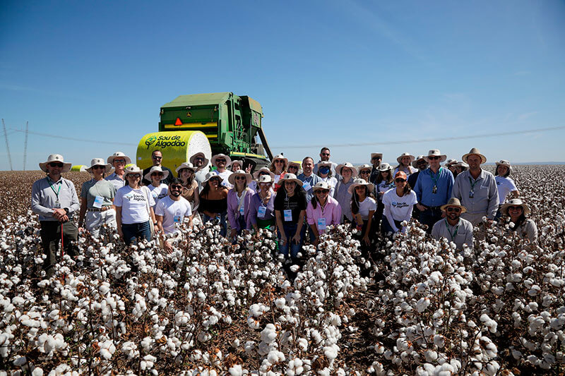 Parceria da ABVTEX e Abrapa leva varejistas à fazenda de algodão